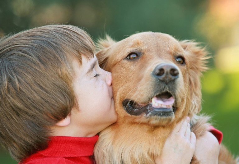 Choose Paws Whiskers Wags Charlotte Pet Cremation